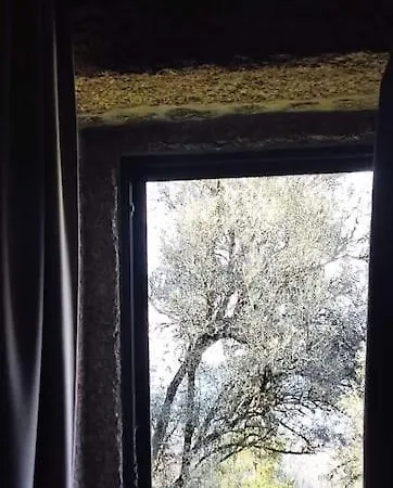 Casa Nova Das Oliveiras Braga Esterno foto