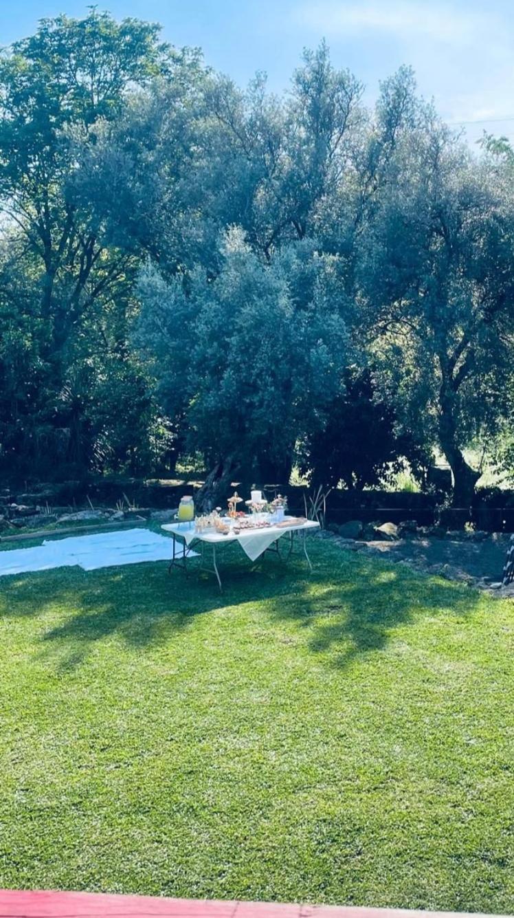 Casa Nova Oliveiras Holiday home